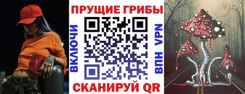 Псилоцибиновые грибы Magic Shrooms  Купить  Княгинино 