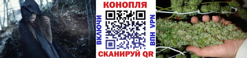 Купить  Княгинино  Каннабис планчик 